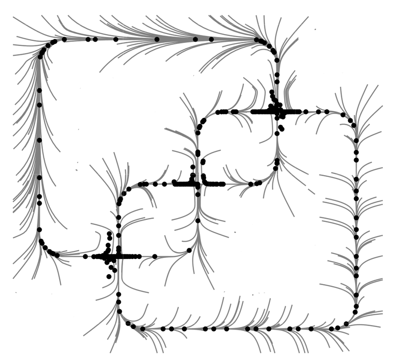 Figure from “Chaotic heteroclinic networks as models of switching behavior in biological systems”